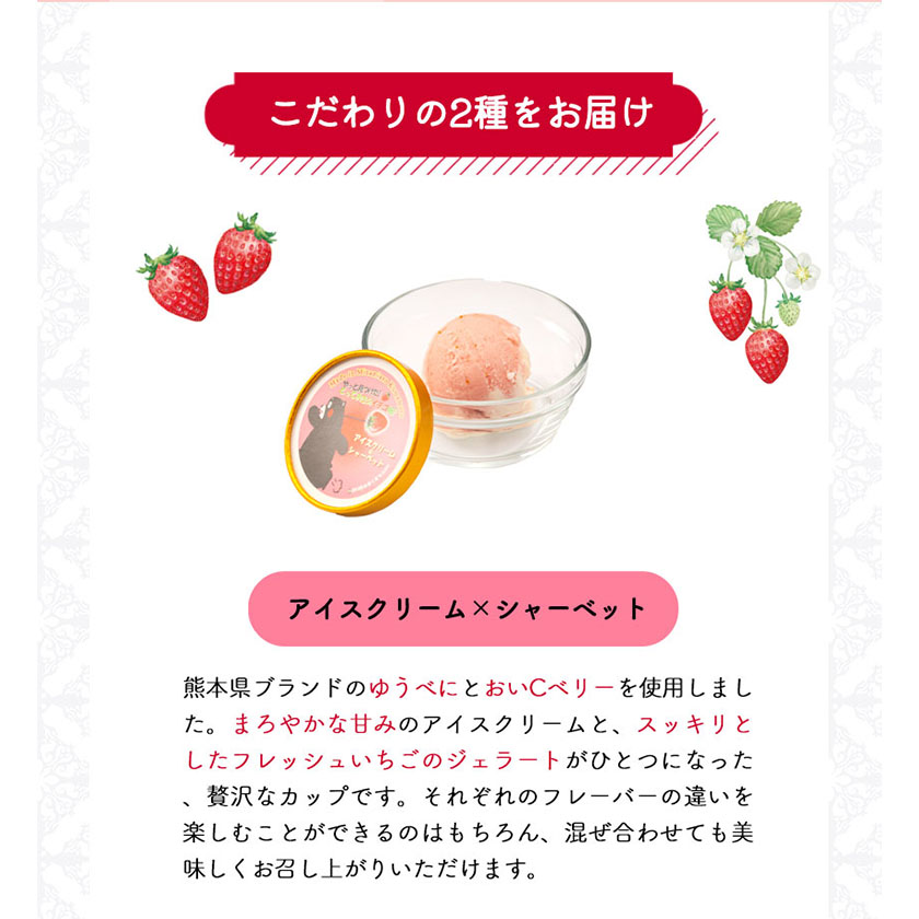 いちご アイス 2種×5個セット やっと見つけた！とっておきのイチゴ畑？《30日以内に出荷予定(土日祝除く)》---isms_fyatoaice_30d_23_15000_10p---