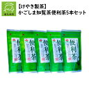 【ふるさと納税】かごしま知覧茶 お茶 知覧茶 便利茶 5本 セット テトラ型 ティーパック 手軽 緑茶 温かいお茶 冷茶 味 香り 水色 南九州市知覧産 日本茶 ティータイム お取り寄せ けやき製茶 鹿児島県 南九州市 送料無料