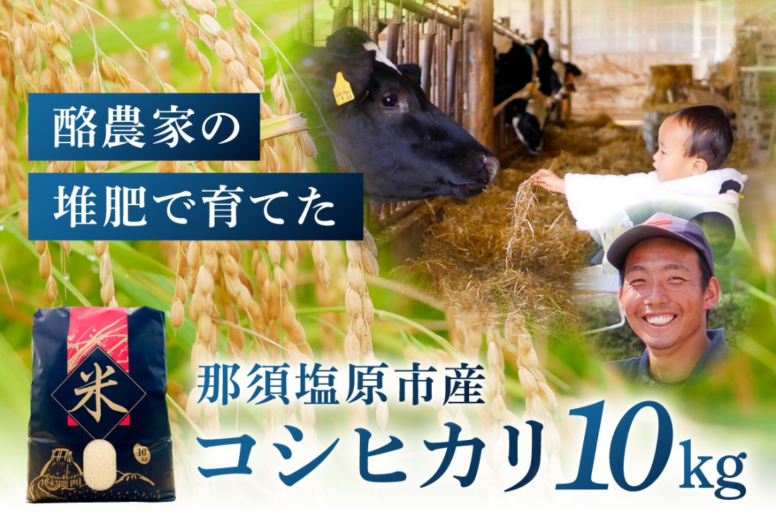 ns130-001 那須塩原市産コシヒカリ　10キロ