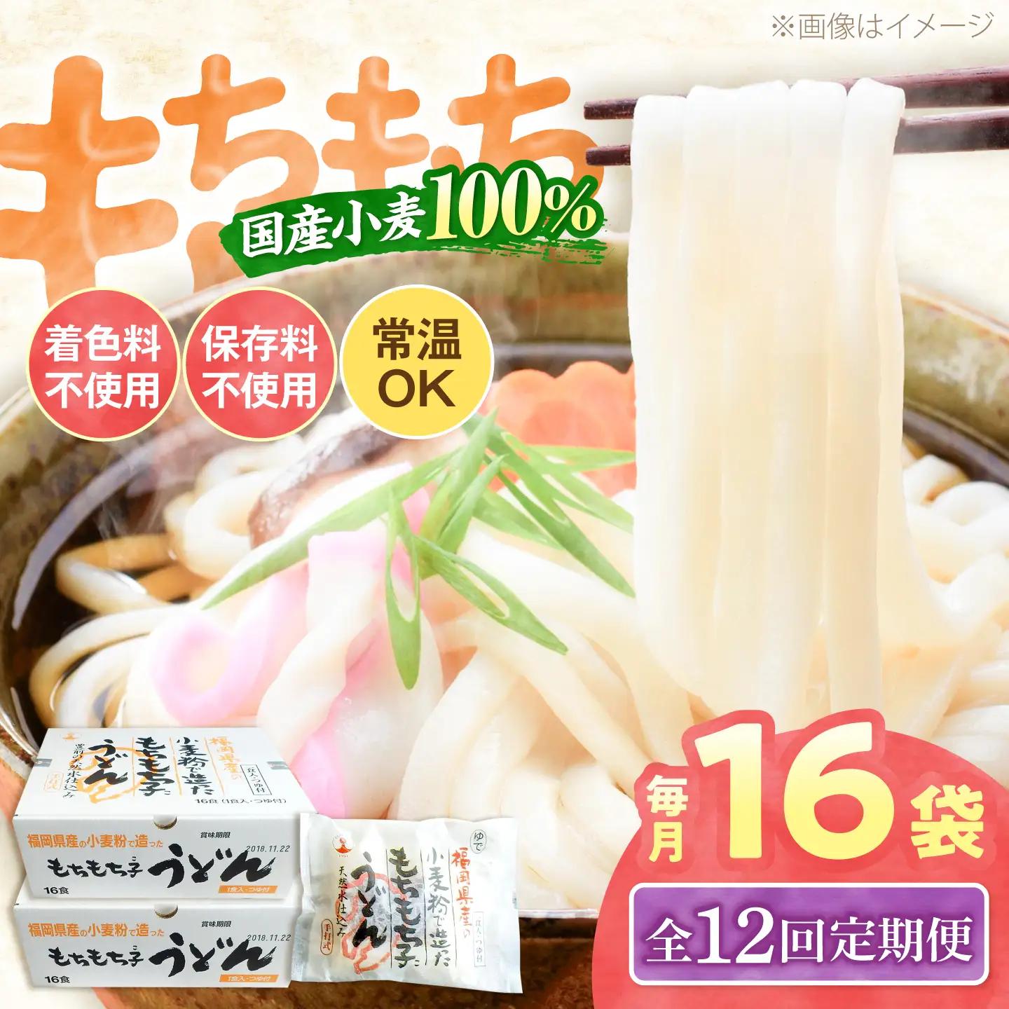 【全12回定期便】もちもち子 うどん 16食 VAI069 うどん 麺