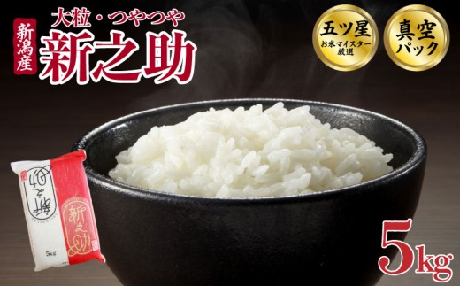 【2026年2月中旬発送】新之助 5kg 令和7年産 真空パック 五つ星お米マイスター 新潟県産 新発田産 備蓄 非常 防災 長期保存 アウトドア ごはん ご飯 お米 米 こめ 新潟県 新発田市 三糧 sanryo008_01_02