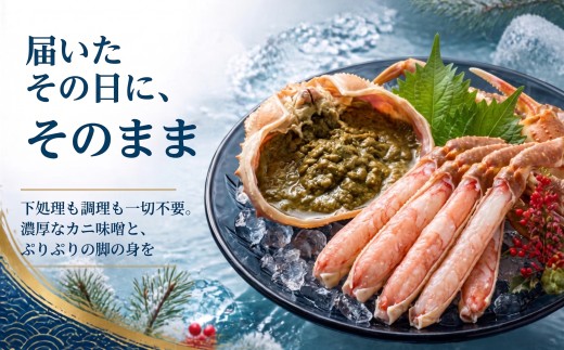 【ボイル・タグ付き】松葉ガニ 900g  配送日時指定可｜島根県 隠岐 西ノ島産 先行予約 ズワイガニ 松葉がに 松葉蟹 まつばがに かに 蟹 カニ 冷蔵 産地直送 茹で 浜茹で 解凍不要 カニ味噌 
