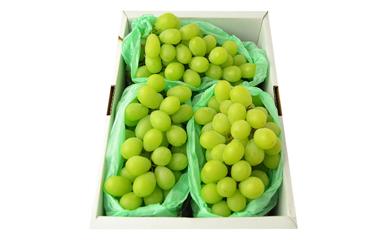 [ハウス栽培]山形のシャインマスカット 秀品 約2kg(2～5房) 