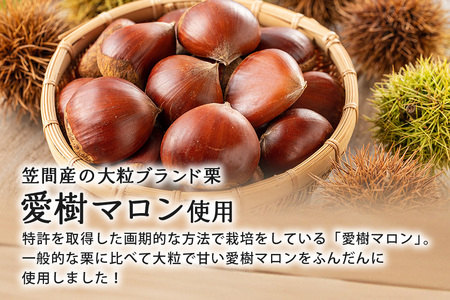 大粒栗のほくほく カレー 4箱 栗 AQ-016