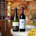 【ふるさと納税】 さっぽろワイン 赤 白 ワイン セット 750ml 各1本 計2本 飲み比べ ヤマ・ソービニオン ケルナー 赤ワイン ミディアム 辛口 白ワイン アルコール お酒 記念日 誕生日 ギフト プレゼント 北海道 札幌市