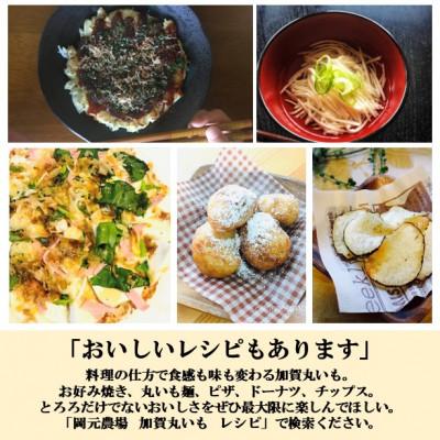 ふるさと納税 能美市 【日本農業賞大賞】加賀丸いもハッピーパック2kg(3〜6個) |  | 02