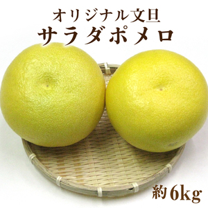 【ふるさと納税】オリジナル文旦「サラダポメロ」約6ｋｇ（5～10玉）