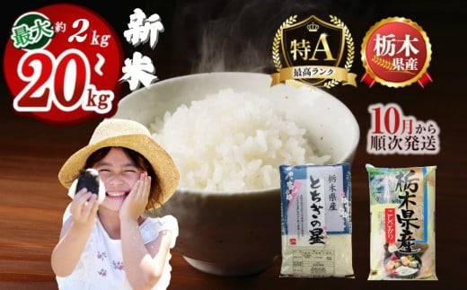 下野市産とちぎの星 2kg |  米 こめ コメ kome 白米 精米 お米 とちぎのほし トチギノホシ 新米 栃木米 令和7年度米 令和7年度 2025年度米 2025年度 ブランド米 栃木県 特産品 送料無料 栃木県 下野市 しもつけ市