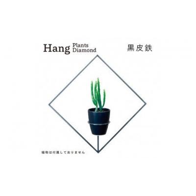 ふるさと納税 幸田町 GRAVIRoN Hang Plants シリーズ Diamond 　黒皮鉄(プランツハンガー)