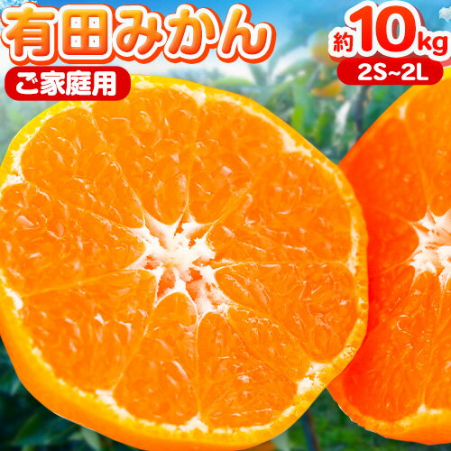 【ふるさと納税】【先行予約】紀州有田みかん ( ご家庭用 キズアリ) 約10kg (2S~2L いずれかお届け) ライスショップスマイル 《2026年11月下旬-1月上旬頃出荷予定》 和歌山県 日高町 みかん 有田みかん 柑橘 フルーツ ミカン 訳ありみかん わけあり 家庭用みかん