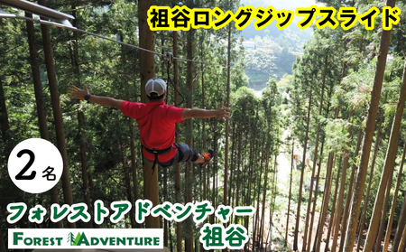 フォレストアドベンチャー 祖谷 ロングジップスライド 2名 チケット 観光【観光】