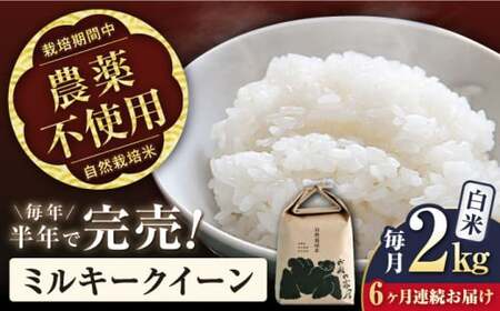 【令和7年産新米】【全6回】自然栽培米ミルキークイーン　2kg白米×6回[AQCP010] 白米