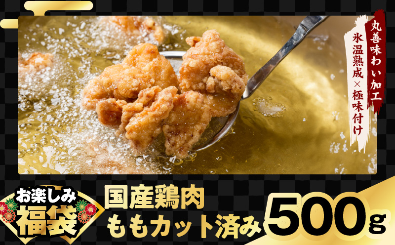 【夏の肉福袋】4種 1.9kg 焼肉セット（牛肉 切り落とし／牛ハラミ／豚肉 スペアリブ／鶏肉）【氷温熟成×極味付け 焼くだけ 食べ比べ ふくぶくろ お楽しみ 簡単調理】