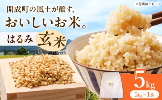 【令和7年産】 はるみ 玄米5kg 【Junkan農園】 米 お米 精米 玄米 はるみ 令和7年産 [BDBF003-1]