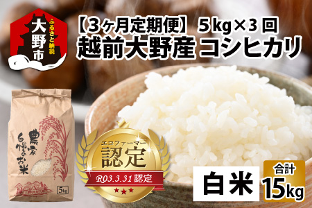 【先行予約】【令和7年産 新米】【3ヶ月定期便】越前大野産 エコファーマー認定農家栽培こしひかり 白米 5kg × 3回 計15kg 【2025年10月より順次お届け】
