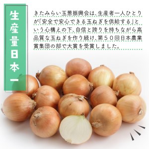 【4月上旬まで発送します！受付は3月31日まで】JAきたみらいから直送する甘くて美味しい新鮮玉ねぎ 20kg(L) ( たまねぎ 野菜 北海道 玉葱 )【104-0008-2023】
