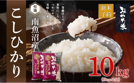 
                  【令和8年産新米予約】南魚沼産こしひかり　みやた米10kg（5kg×2袋）【銘柄米 ブランド米 精米 こしひかり コシヒカリ 魚沼産 新潟米 産地直送 お米 米 こめ コメ ご飯 御飯 ごはん】【2026年10月上旬より1ヶ月以内に順次発送予定】
                