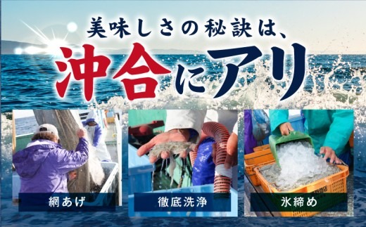 G4947 【期間限定】減塩 釜揚げしらす 1kg【小分け 200g×5P 漁師直送 シラス 国産 無添加 産地直送 sirasu 海鮮 しらす 鰯 イワシ いわし スピード発送】