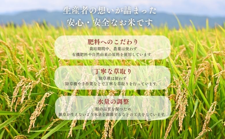 北海道奈井江産ゆめぴりか『奏穂（かなでほ）』　玄米＆白米　おためしセット　計600g　栽培期間中農薬不使用米（化学肥料5割減）