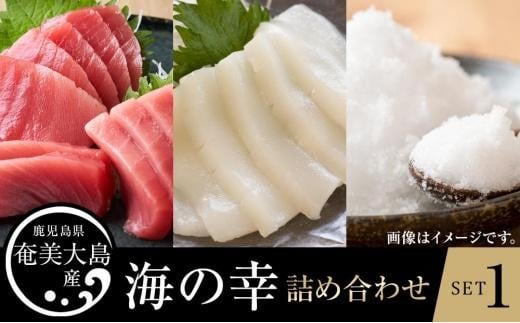 
                  【奄美大島 瀬戸内町】海の幸　詰め合わせセット１（黒マグロ・ソデイカ・加計呂麻の塩）|マグロ まぐろ 黒マグロ クロマグロ 養殖マグロ いか イカ 海産物 塩 ソルト 海 ミネラル
                