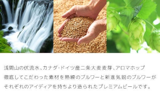 【5ヶ月定期便】【THE軽井沢ビール】クラフトビール350ml　6種6缶　飲み比べ　詰合せ