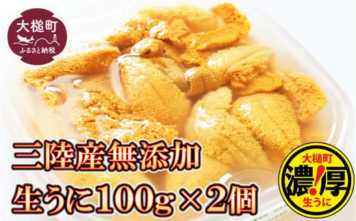 
【令和7年発送先行予約】天然生うに 100g×2個【2025年5月上旬～8月発送】［05］
