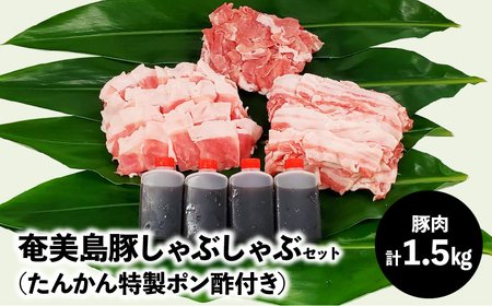 【奄美島豚】しゃぶしゃぶセット 1.5kg（たんかん特製ポン酢付き） A011-003 豚肉 セット 1.5kg 豚肉 豚バラ 豚肩ロース 豚もも肉 脂身に旨み ポン酢 しゃぶしゃぶ 奄美 島豚 黒豚
