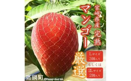 【先行予約】宮崎県産 完熟マンゴー （Lサイズ 3個 もしくは 2Lサイズ 2個） 果物 フルーツ マンゴー くだもの 特産品 完熟 国産