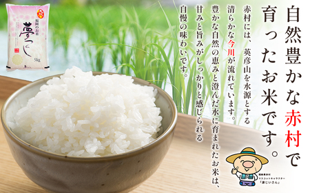 【10営業日以内に発送】赤村産米 農家直送 【数量限定】 精米 夢つくし 10kg 4U1-S