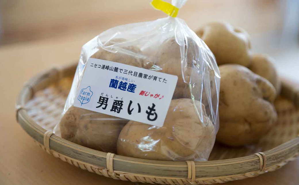 北海道蘭越産じゃがいも（男爵）約5kg
