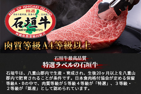 石垣牛ステーキ200g×4枚＋焼肉800g特盛セット（いしなぎ屋） AB-10