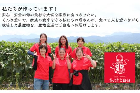 【定期便／3ヶ月お届け】たべとうみんの旬菜ボックス（お米付）