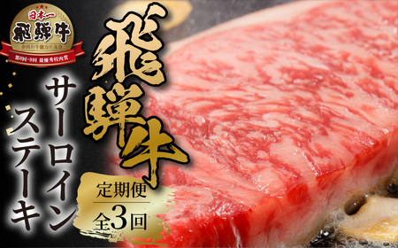 《定期便》全3回 飛騨牛 サーロインステーキ 肉 飛騨高山ミート 肉 [MZ109]
