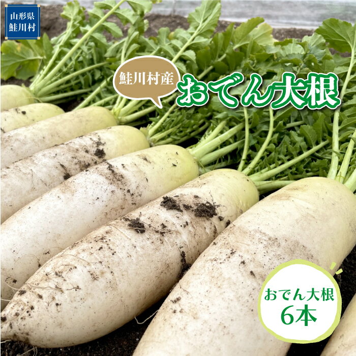 【ふるさと納税】 鮭川村産　おでん大根