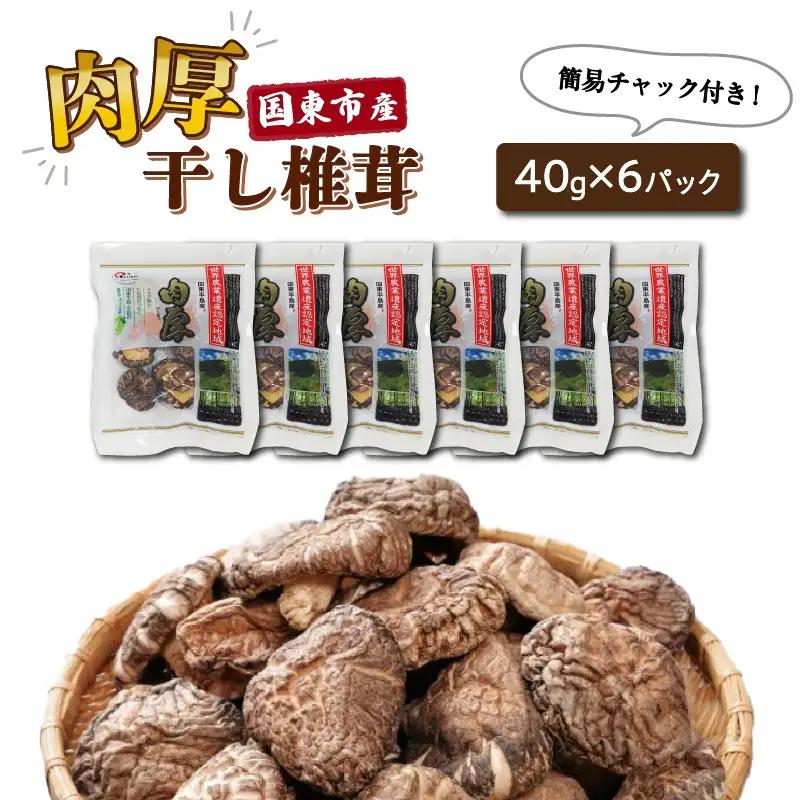 肉厚干し椎茸 大分県 国東産 40g×6袋_29058A