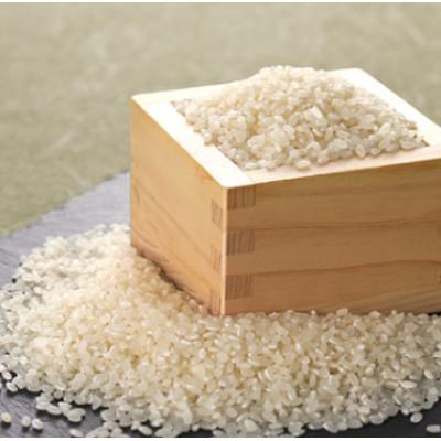 ふるさと納税 稲敷市 【毎月定期便】茨城県稲敷市産ミルキークイーン10kg(5kg×2) 全3回 |  | 02