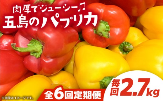 【6回定期便】 【肉厚パプリカ】五島のパプリカ 約2.7kg 五島市/HPIファーム [PCP005] 野菜 やさい 国産 新鮮 緑黄色野菜 産地直送 とれたて