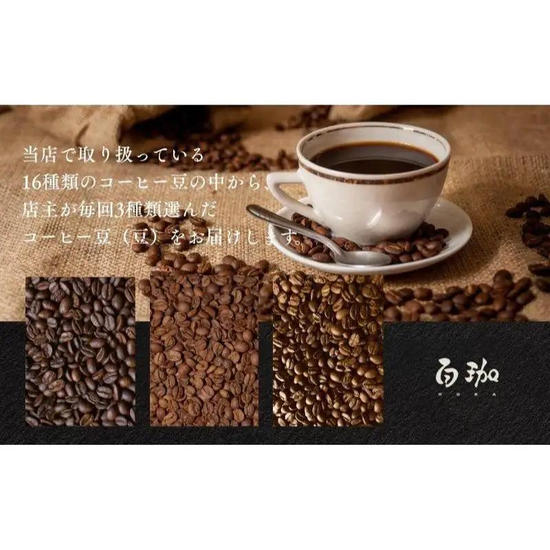 コーヒー 自家焙煎 おまかせ 3種 定期便 コーヒー