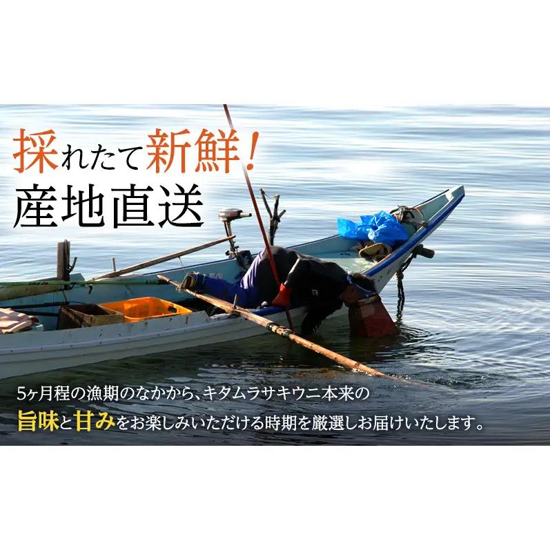 礼文産 キタムラサキウニ 塩水 500g(100g×5) うに