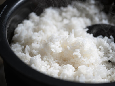 【令和7年産】たこまいらいふ萩原農場の多古米コシヒカリ(精米)5kg・(玄米)5kg セット_ 玄米 米 こめ コメ   精米 米    コシヒカリ 米 こしひかり_【配送不可地域：離島・沖縄県】 TAKK013