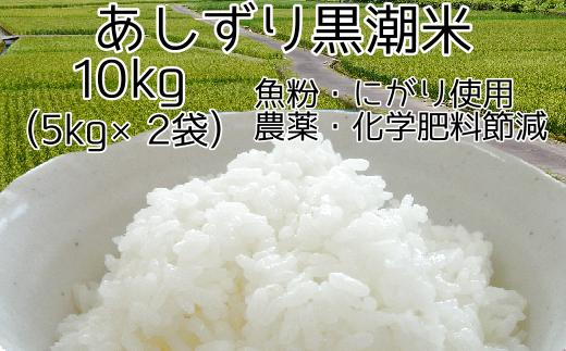 
            令和6年産  あしずり黒潮米10kg（5kg×2袋）【コシヒカリ】精米 白米 こめ コメ おコメ こしひかり ブランド米 10キロ  国産 送料無料 高知県 にがり【R01306】
          