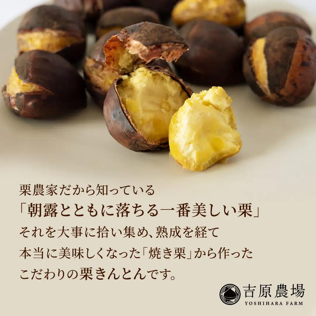 栗の深雫 (くりのしずく) 1箱 完熟 栗 くり クリ 栗きんとん 和菓子 おかし お菓子 贈り物 贈答 ギフト 秋 冬 [FC010sa]