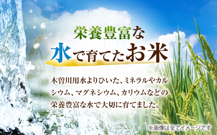 米 お米 10kg 10キロ 定期便 白米 精米 愛知県 国産 コシヒカリ