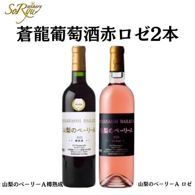 ふるさと納税 甲州市 蒼龍葡萄酒が贈る『山梨のベーリーA』赤ロゼ2本セット　B13652
