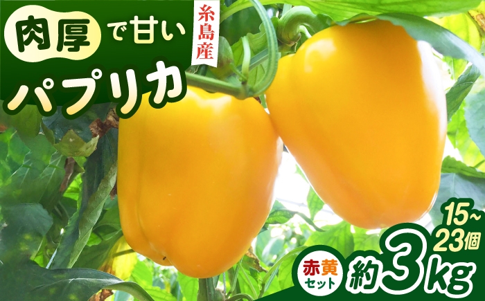 
                  【先行受付】糸島産 肉厚 パプリカ 約3kg(15-23個)  【2026年11月以降順次発送】福岡県  糸島市 / シーブ [AHC032] 野菜 ピーマン
                
