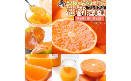 
            厳選 柑橘定期便S（偶数月）全6回［IKE286］
          