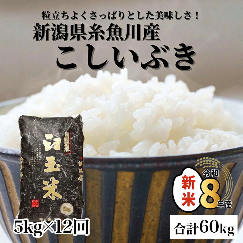 【ふるさと納税】こしいぶき 5kg×12回 合計60kg《令和8年産新米》【12ヶ月定期便】【10月以降順次発送】新潟県 糸魚川産 プロが認めたうまい米 臼玉米 コシヒカリの甘みを兼ね備えた早生品種 おすすめ 人気 お手頃価格 木島米穀店