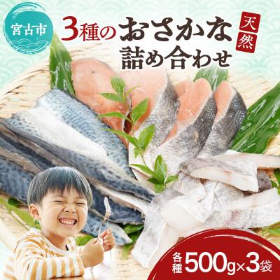 ふるさと納税 宮古市 国産 三陸の恵み 骨取り天然魚 3種のごちそうセット 秋鮭 塩鯖 真鱈 冷凍 各500g計1.5kg