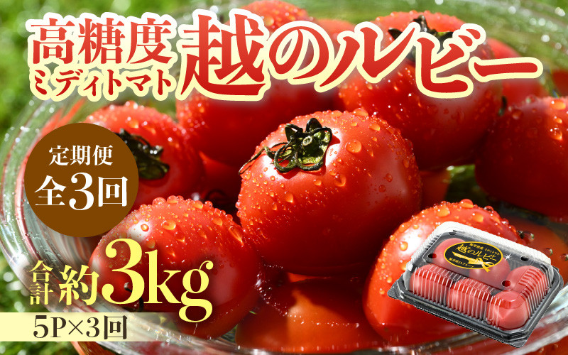 
            【先行予約】《定期便3回》高糖度 ミディトマト 越のルビー 約1kg 5パック（計約3kg） / 福井県産 ブランド トマト 福井県産ブランドトマト  農家直送 有機肥料 低農薬 完熟 甘い ※2025年9月中旬より順次発送
          