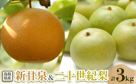 二十世紀梨と新甘泉のセット 3kg【配送不可地域：離島・北海道・沖縄県】【1593387】